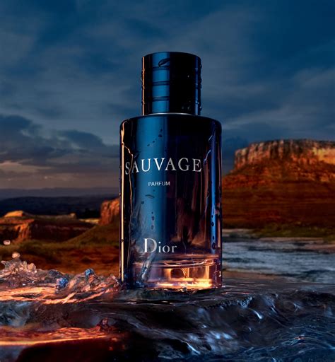 dior sauvage miris|sauvage by Dior cologne.